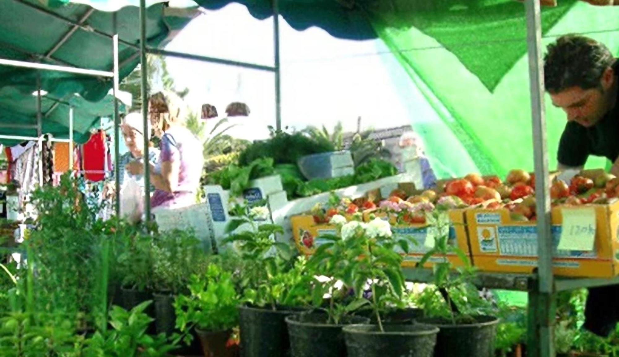 "Cathy'S Home"- Apart Luxury - Adult Only - Large Terrace Private 푸에르토 데 산티아고 외부 사진